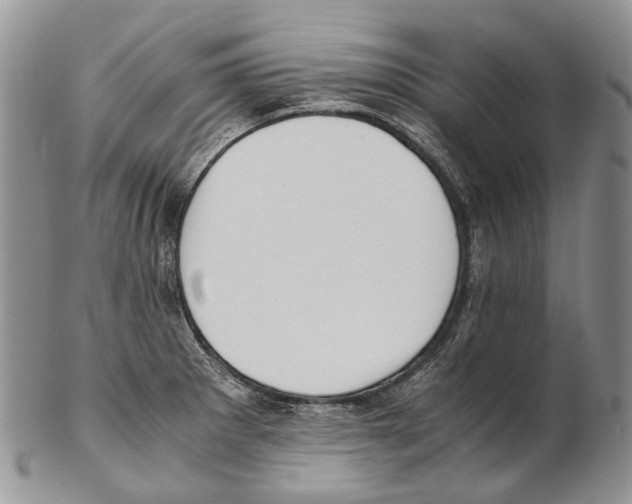 X0000102271281200808221429