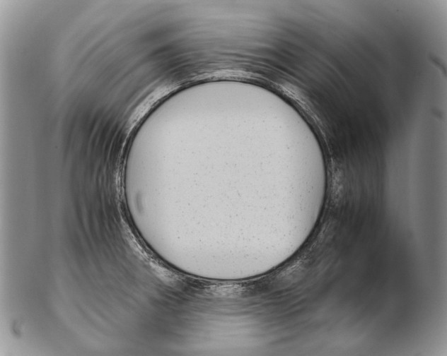 X0000102271282200808221429