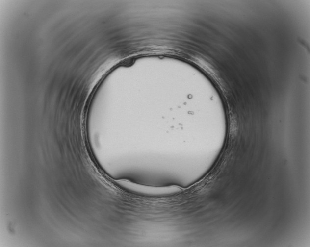 X0000102271283200808221429