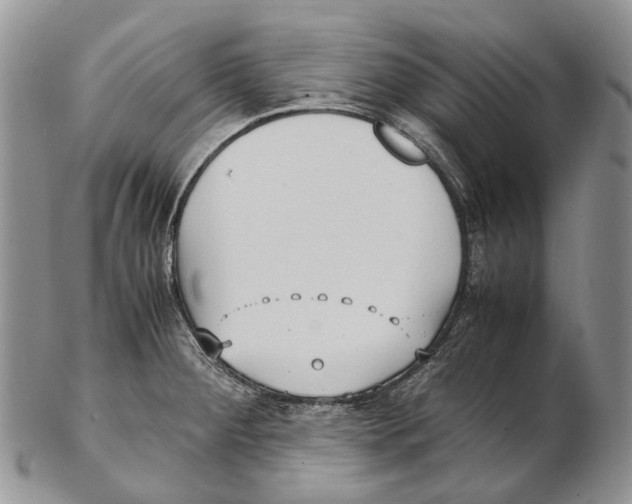 X0000102271284200808221429