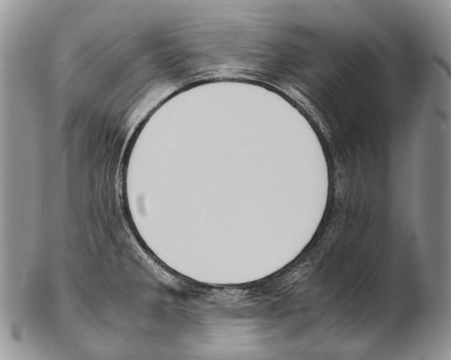 X0000102271285200808221429