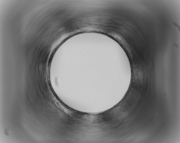 X0000102271286200808221429