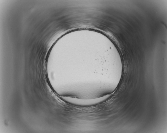 X0000102271287200808221429