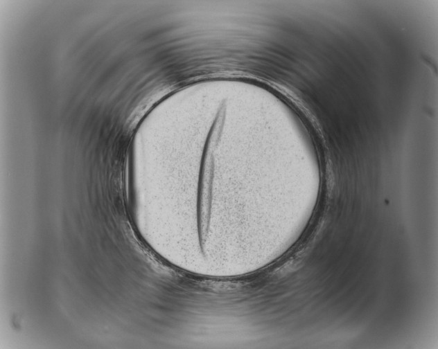 X0000102271289200808221429