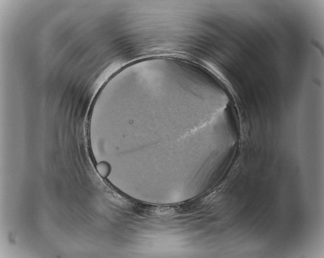 X0000102271291200808221429