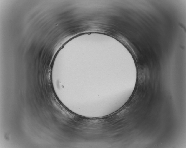 X0000102271292200808221429