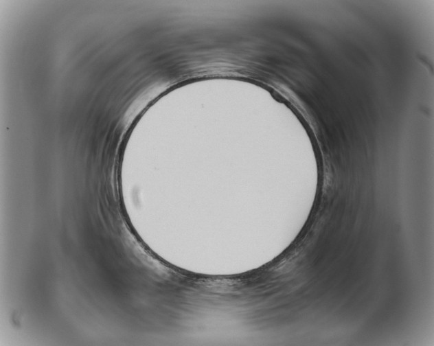 X0000102271293200808221429