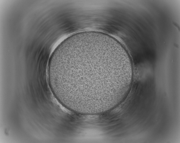 X0000102271294200808221429
