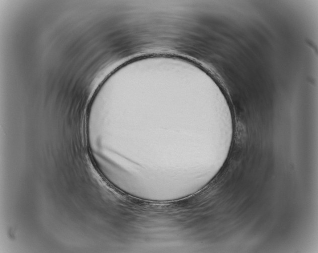 X0000102271295200808221429