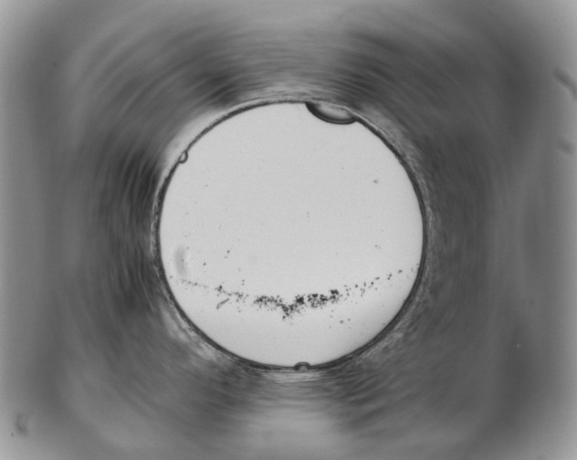 X0000102271296200808221429