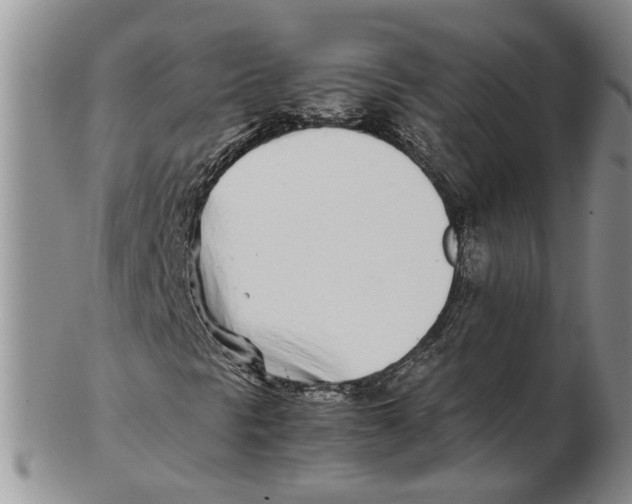 X0000102271297200808221429