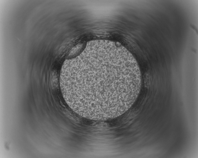 X0000102271298200808221429