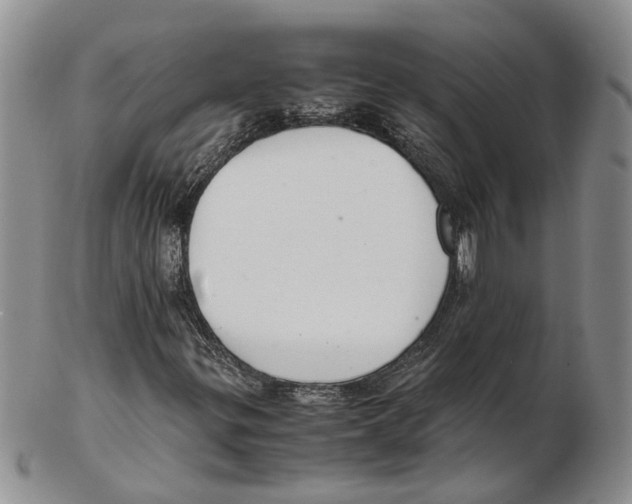 X0000102271299200808221429