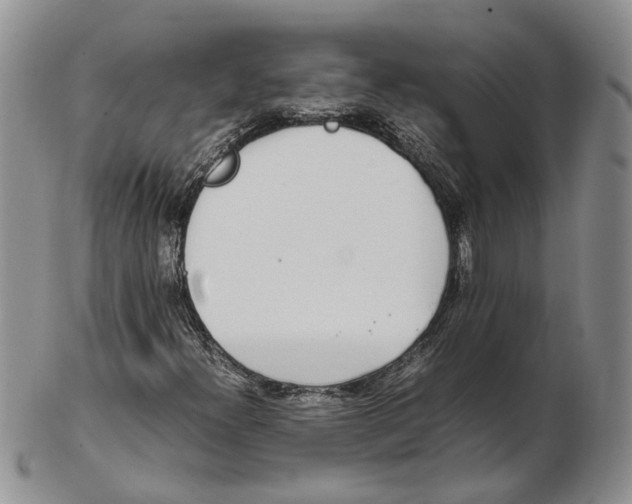 X0000102271300200808221429