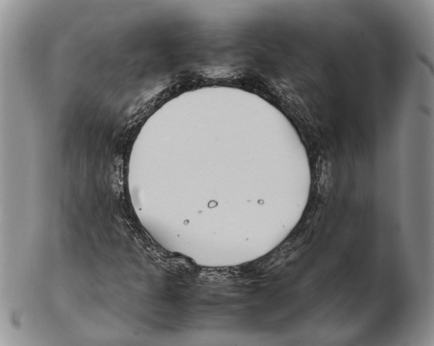 X0000102271301200808221429