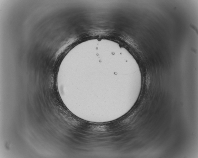 X0000102271309200808221429