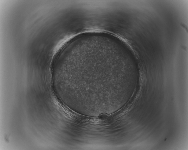 X0000102271319200808221429