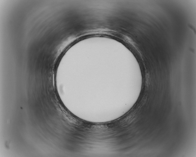 X0000102271320200808221429