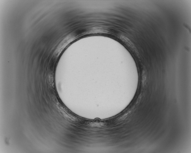 X0000102271321200808221429
