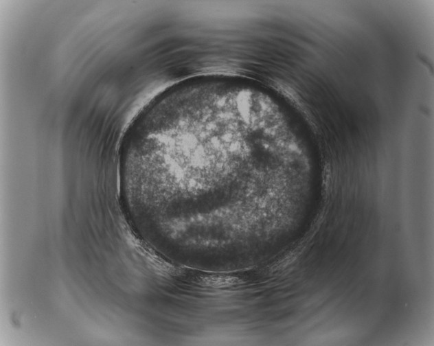 X0000102271323200808221429