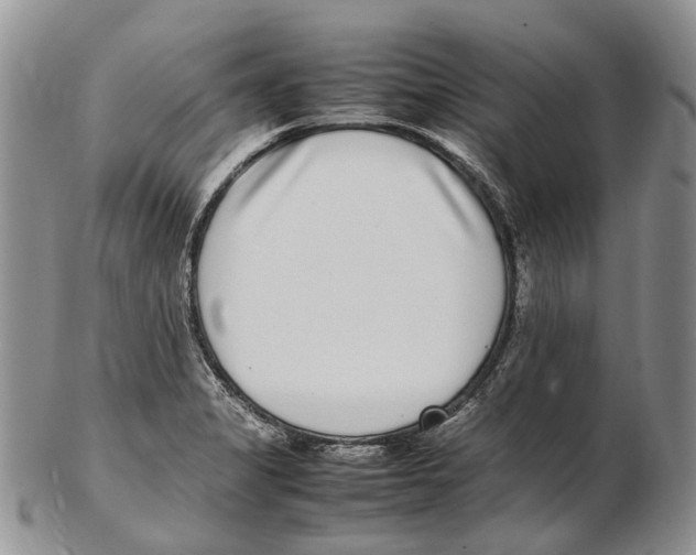 X0000102271325200808221429