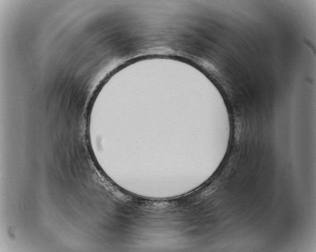 X0000102271326200808221429