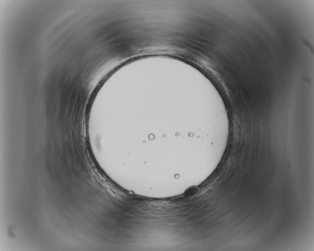 X0000102271328200808221429