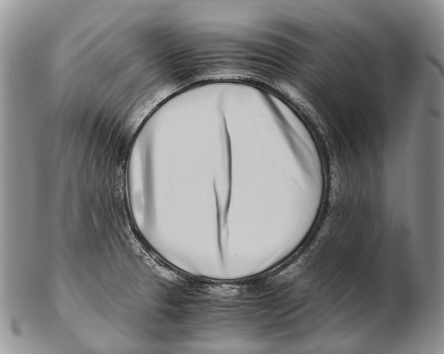 X0000102271329200808221429