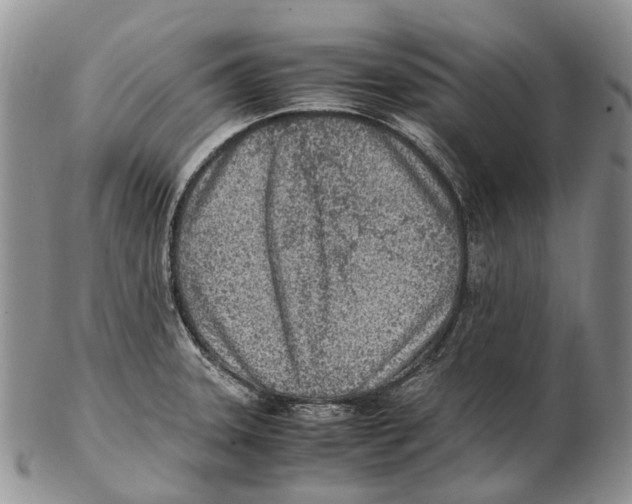 X0000102271331200808221429