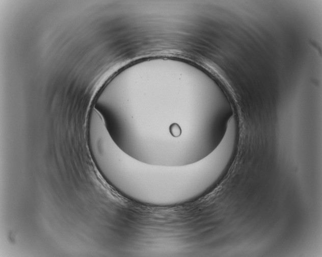 X0000102271332200808221429