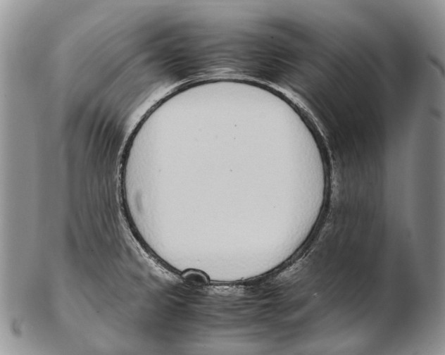 X0000102271333200808221429