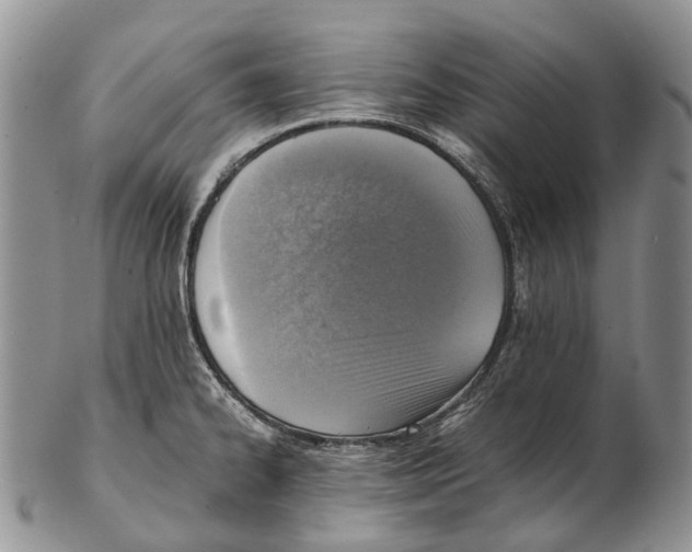 X0000102271334200808221429