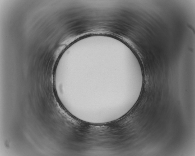 X0000102271335200808221429