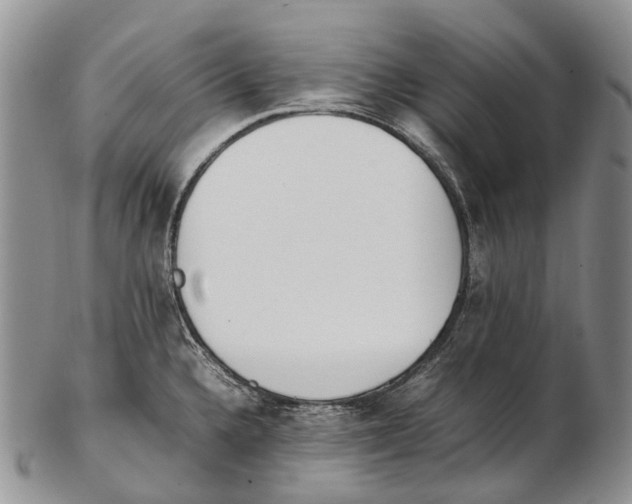 X0000102271336200808221429