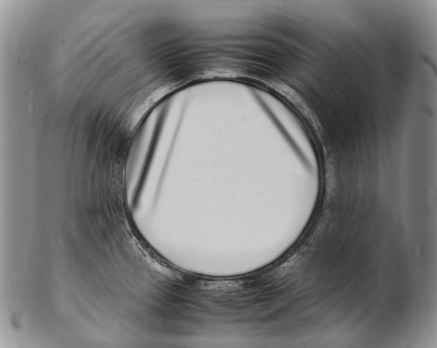 X0000102271337200808221429