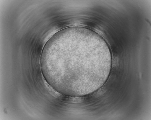 X0000102271338200808221429
