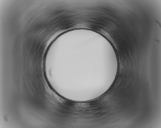 X0000102271339200808221429