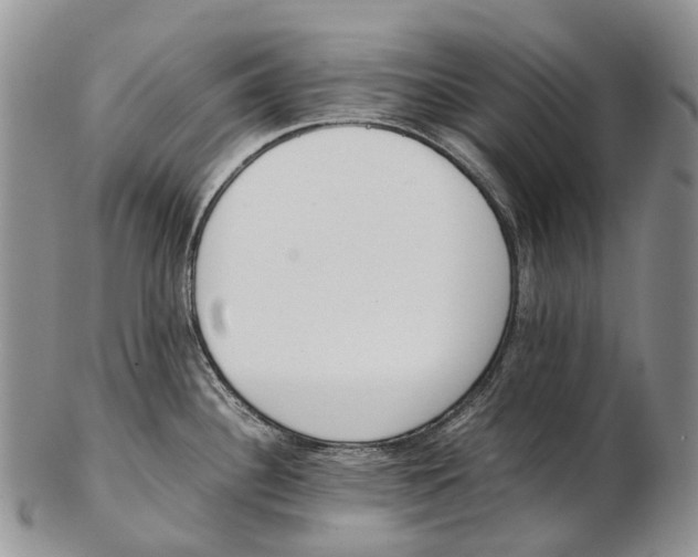 X0000102271340200808221429