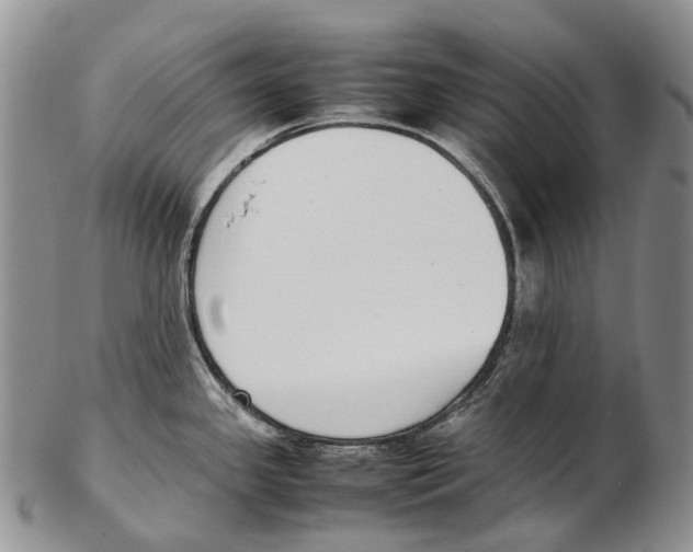X0000102271341200808221429