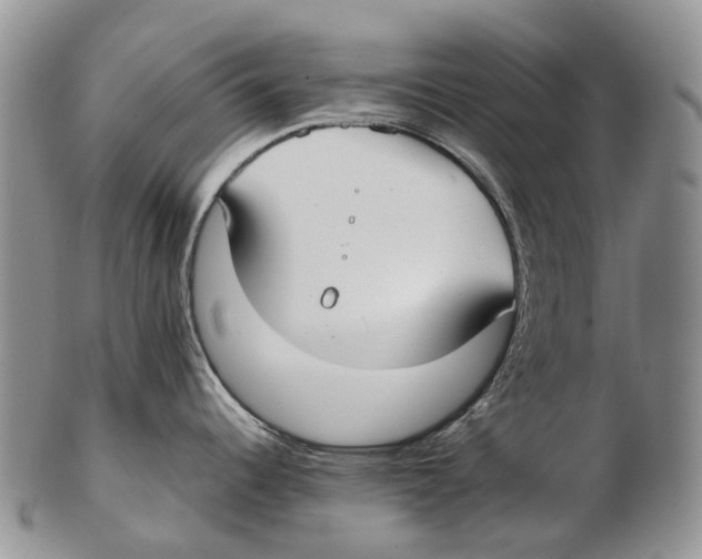 X0000102271344200808221429