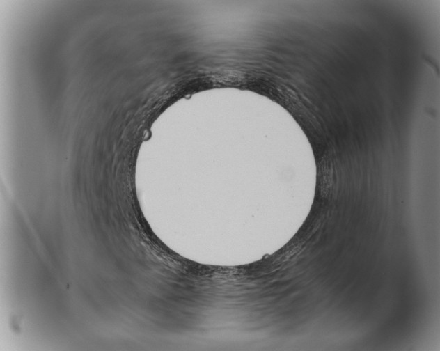 X0000102271345200808221429