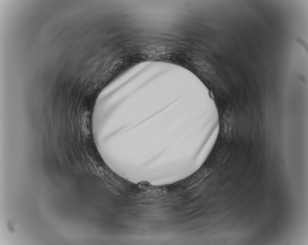 X0000102271346200808221429