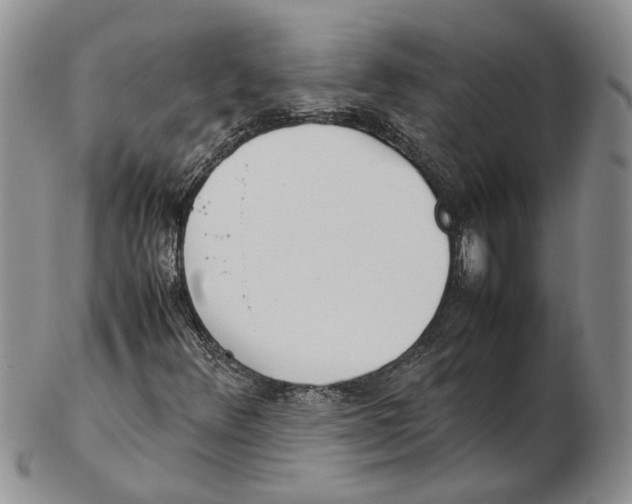 X0000102271348200808221429
