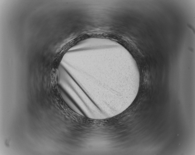 X0000102271350200808221429