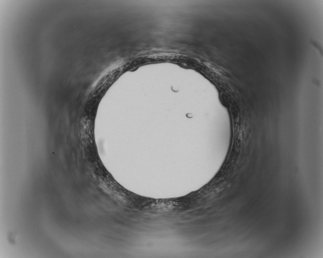 X0000102271351200808221428