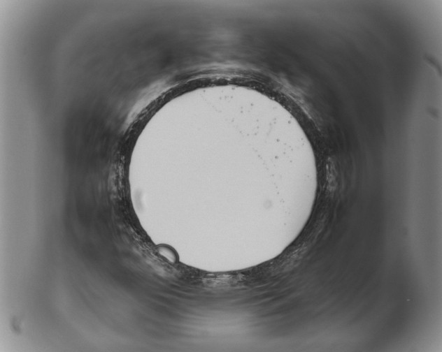X0000102271352200808221428