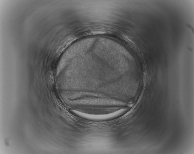X0000102271353200808221428