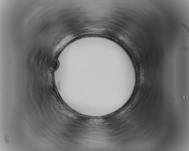 X0000102271354200808221428
