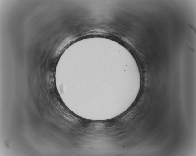 X0000102271355200808221428