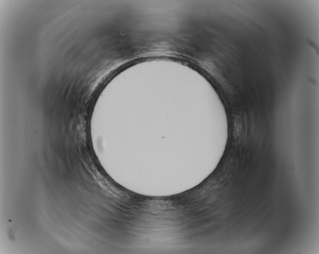 X0000102271356200808221428